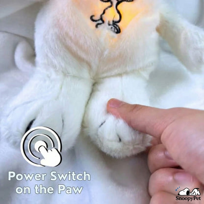 SnoopyPet
