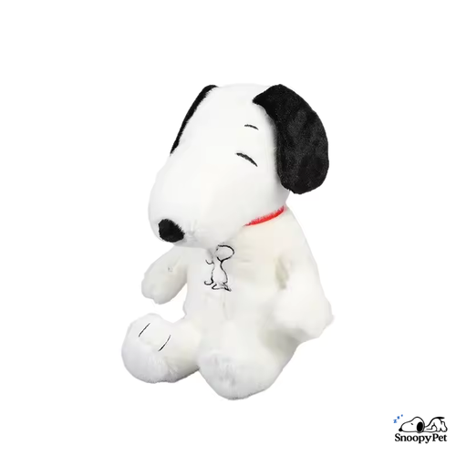 SnoopyPet