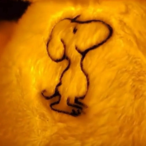 Free Relaxing Light Mode